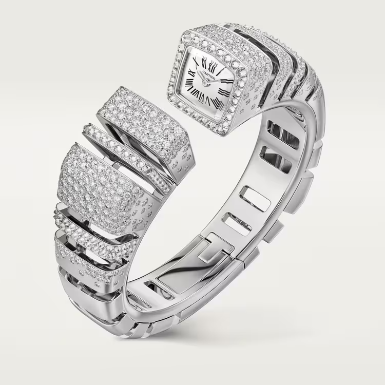 Reflection de Cartier